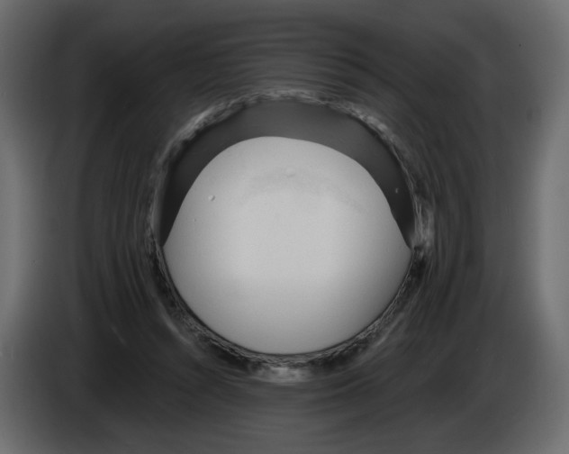 X0000084540352200703231719