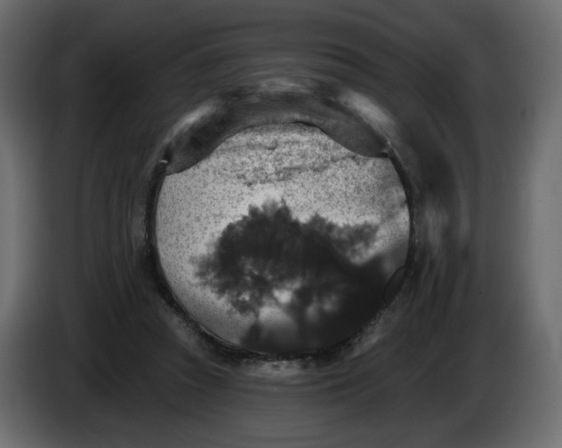 X0000084540353200703231719