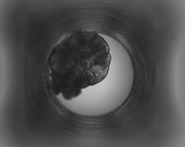 X0000084540354200703231719