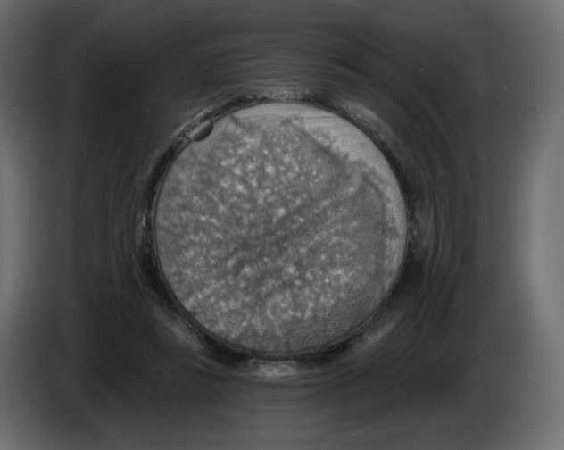 X0000084540355200703231719