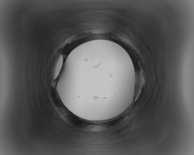 X0000084540356200703231719