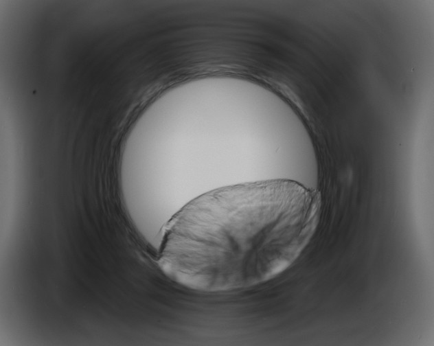 X0000084540357200703231719