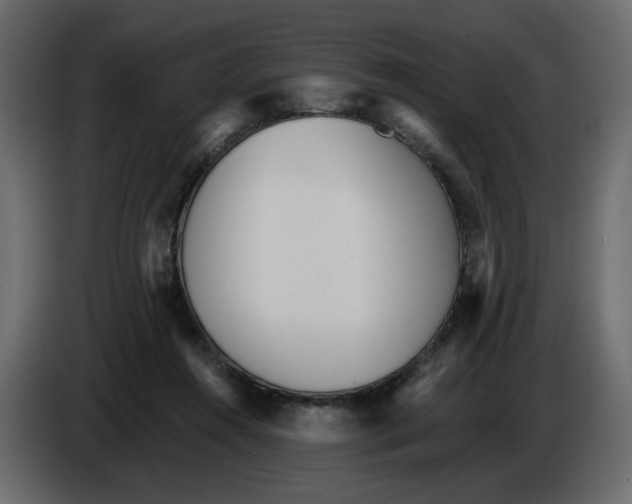 X0000084540360200703231719