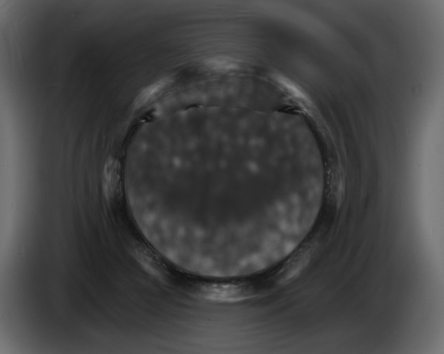 X0000084540361200703231719