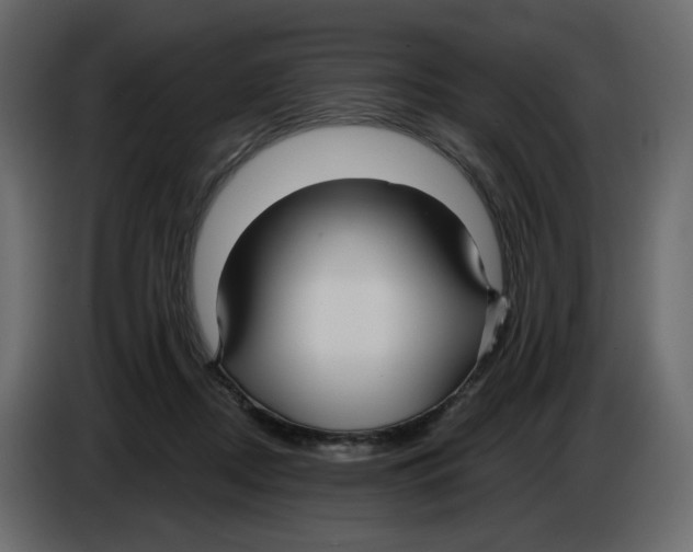 X0000084540362200703231719