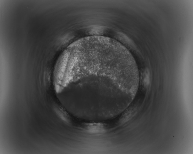 X0000084540363200703231719