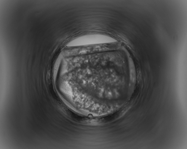 X0000084540365200703231719