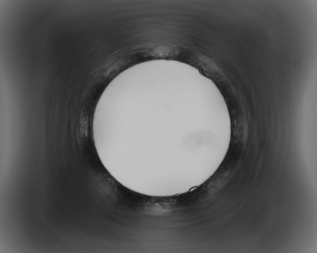 X0000084540368200703231719