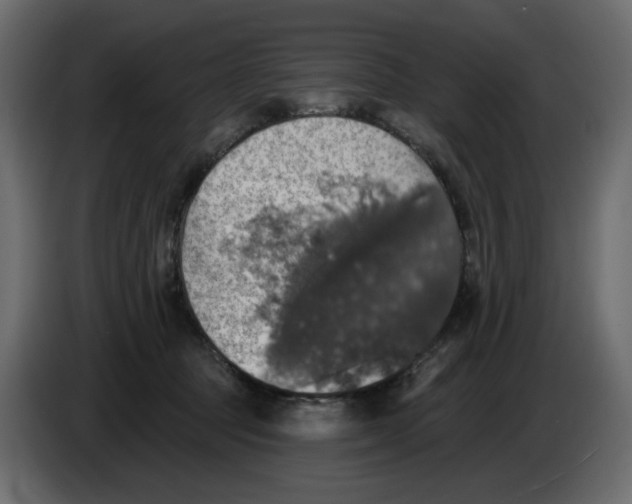 X0000084540369200703231719