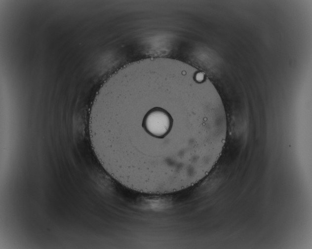 X0000084540370200703231719