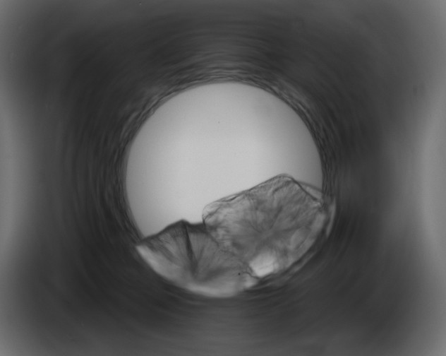 X0000084540373200703231719