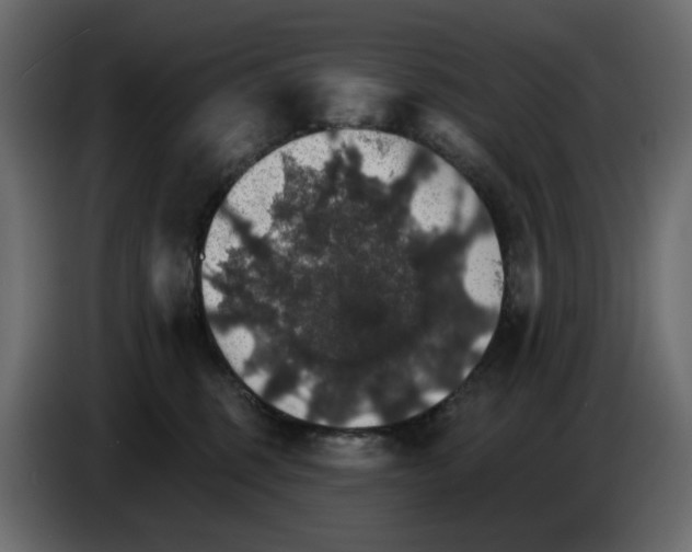 X0000084540375200703231719