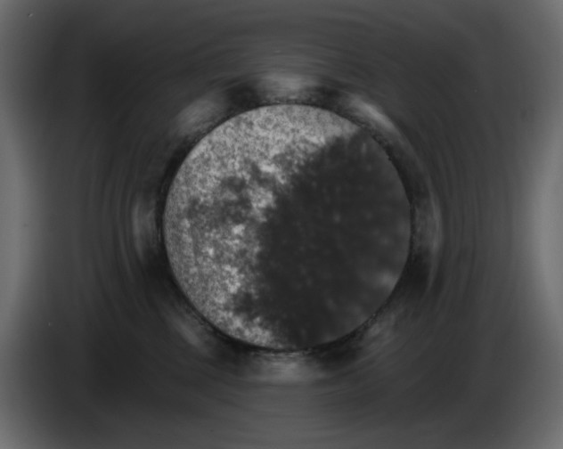 X0000084540377200703231719