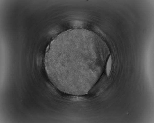 X0000084540379200703231719