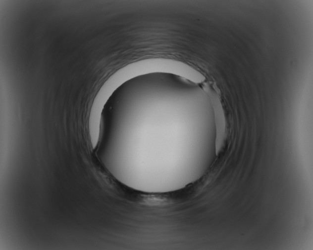 X0000084540380200703231719