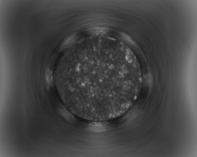 X0000084540381200703231719