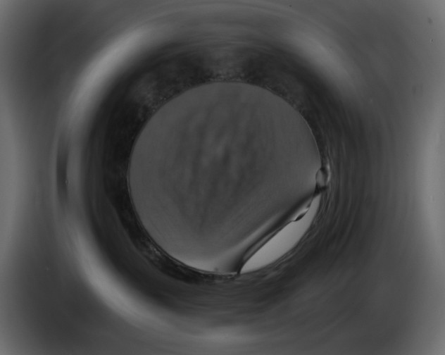 X0000084540383200703231719