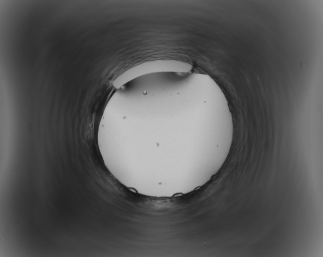 X0000084540384200703231719