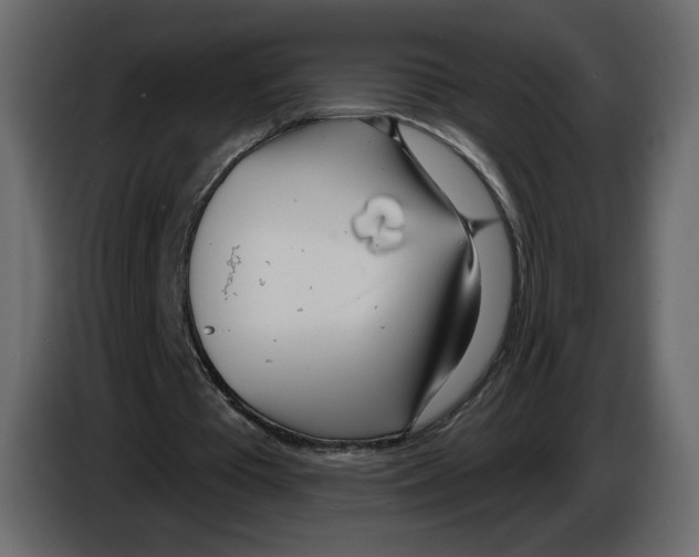 X0000084540385200703231719