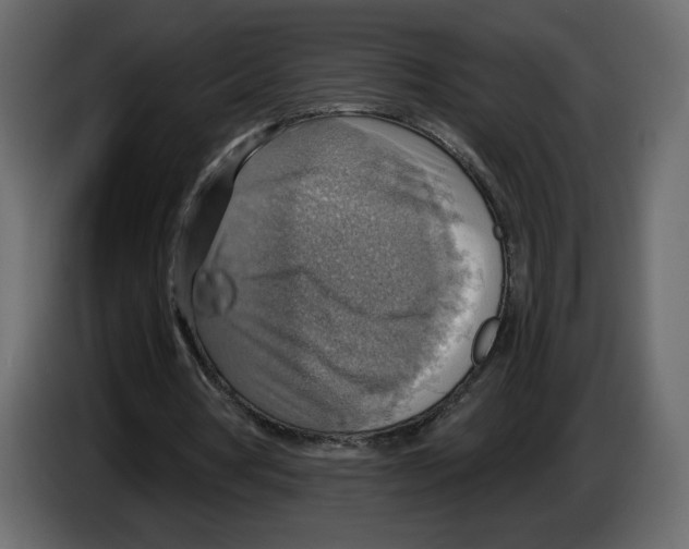 X0000084540386200703231719