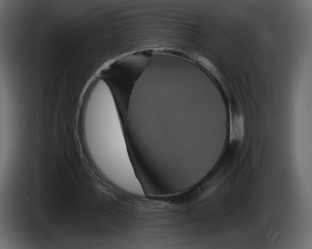 X0000084540387200703231719