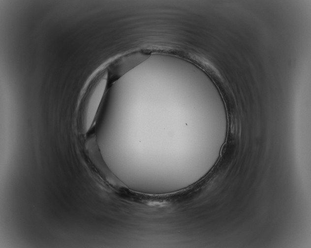 X0000084540388200703231719