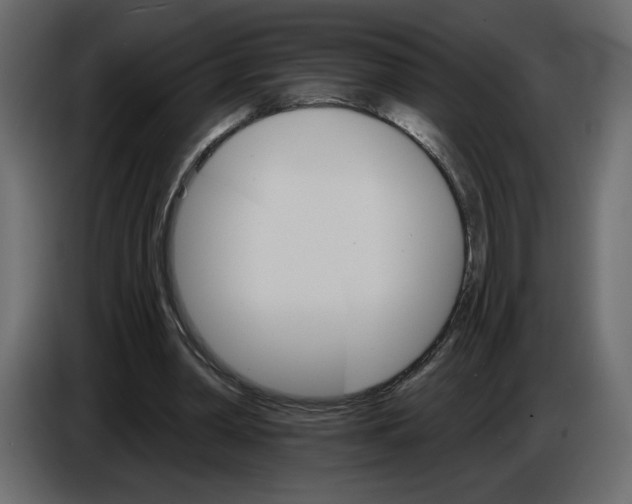 X0000084540390200703231719