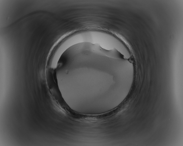 X0000084540391200703231719