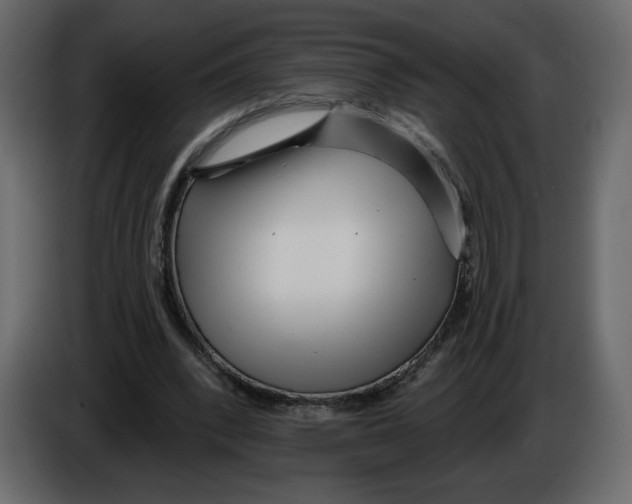 X0000084540392200703231719