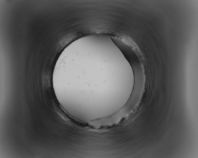 X0000084540393200703231719