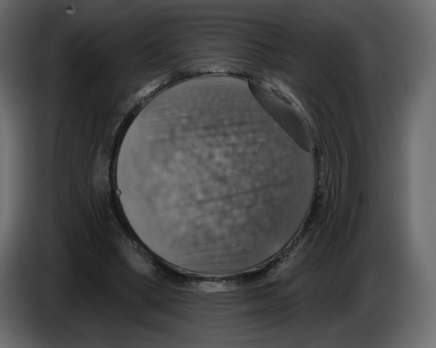 X0000084540394200703231719