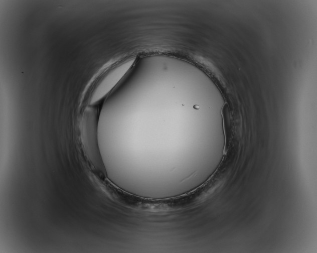 X0000084540395200703231719