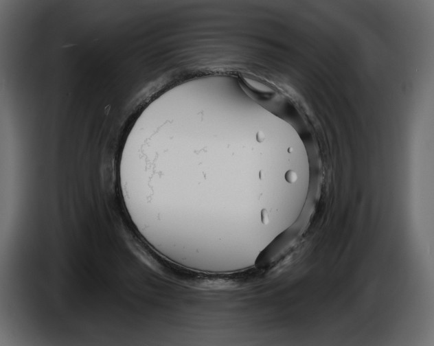 X0000084540397200703231719