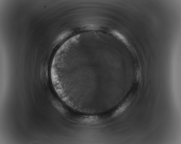 X0000084540398200703231719