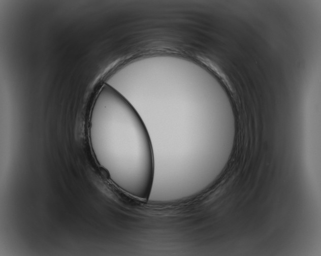 X0000084540399200703231719