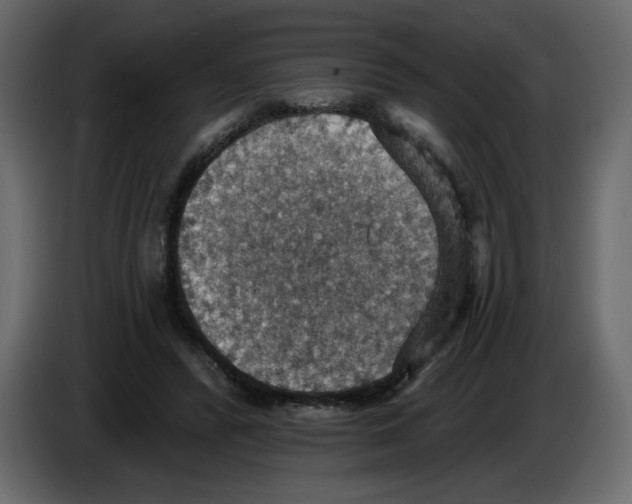 X0000084540400200703231719