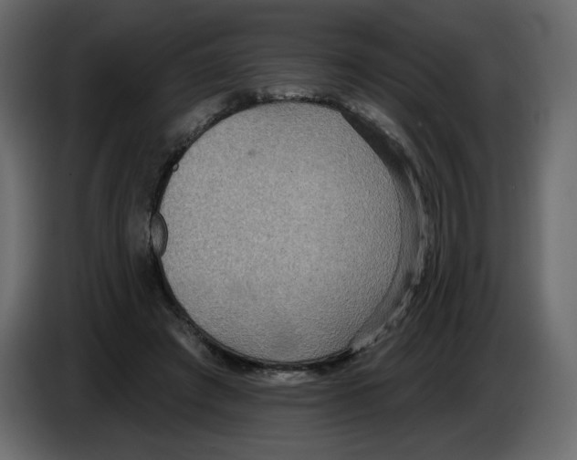 X0000084540401200703231719