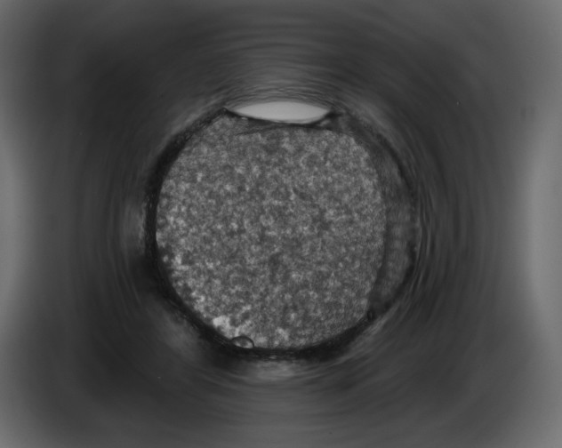 X0000084540404200703231718