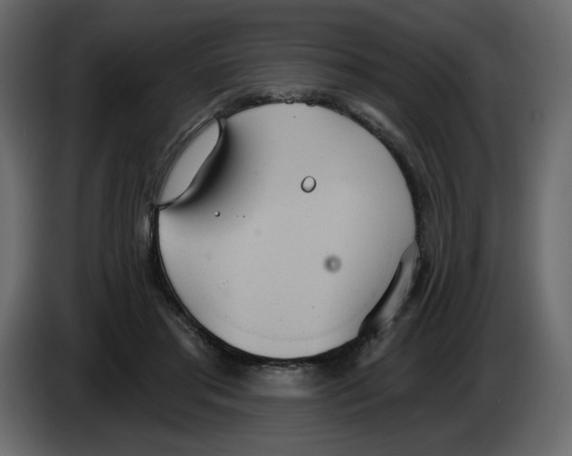 X0000084540405200703231718