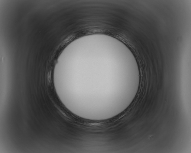 X0000084540406200703231718