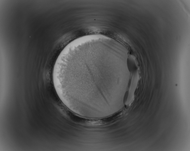 X0000084540410200703231718