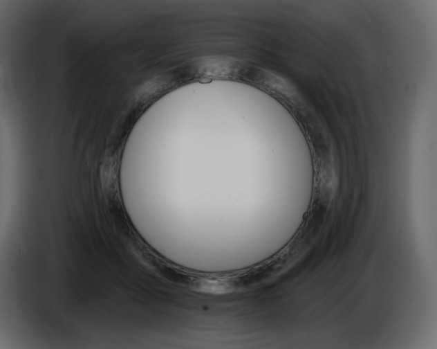 X0000084540411200703231718