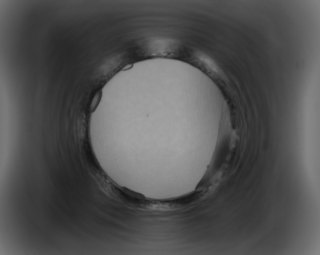 X0000084540413200703231718