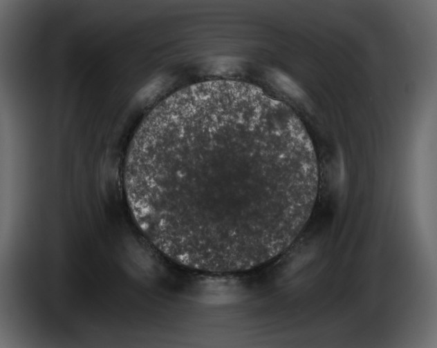 X0000084540415200703231718