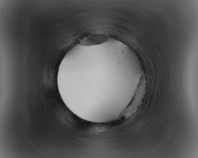 X0000084540416200703231718