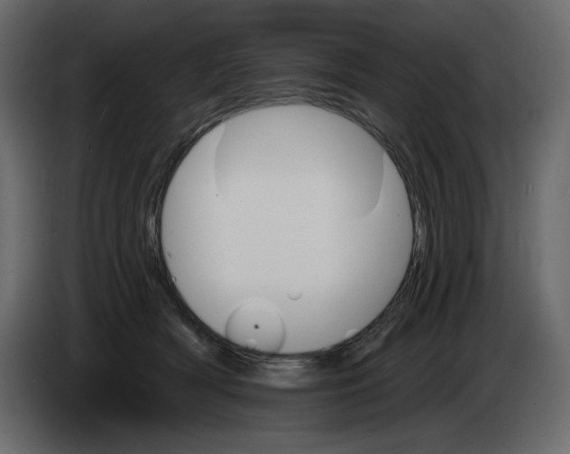 X0000084540418200703231718