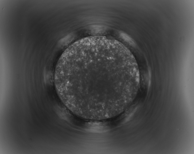 X0000084540419200703231718