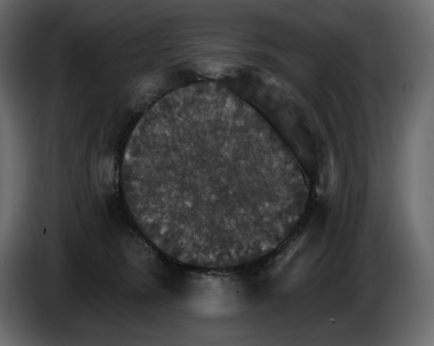 X0000084540420200703231718