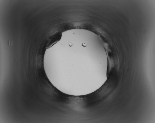 X0000084540421200703231718