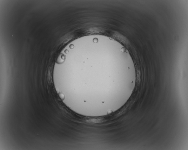 X0000084540422200703231718